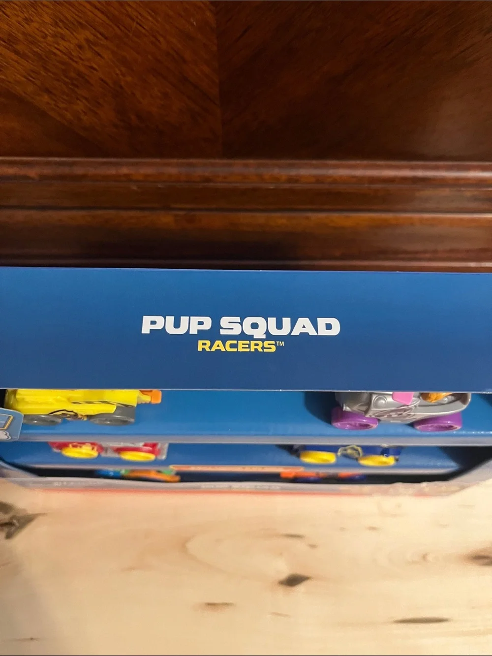 Paw Patrol Pup Squad Racers New in Box